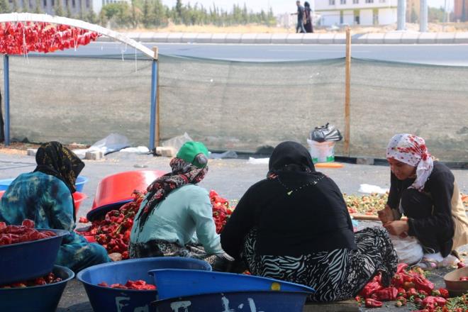 Oxford niversitesi, in Tp Bilimleri Akademesi ve Harvard Halk Sal Fakltesi (Harvard School of Public Health ) tarafndan gerekletirilen bu aratrmada yalar 30 ila 79 arasnda deien yaklak 500 bin inli?nin yeme alkanlklar ve salk durumlar incelemeye alnd.