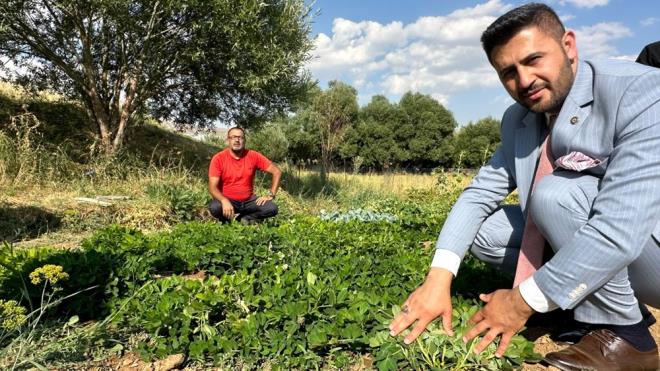 Ancak, yer fstnn yksek kalorili olduunu ve baz insanlarda alerjik reaksiyonlara neden olabileceini unutmamak nemlidir. Dengeli bir diyetin paras olarak ll tketilmesi tavsiye edilir. Bu sebeple yer fstn beslenme listenize dahil etmeden nce mutlaka bir uzmana danmanzn nemlidir.