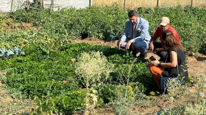 VTAMN VE MNERAL KAYNAI    Yer fst, E vitamini, B vitamini kompleksi, magnezyum, fosfor, potasyum ve inko gibi nemli vitamin ve mineralleri ierir. Serbest radikalleri ntralize eden ve hcre hasarn nleyen antioksidanlar ierir.