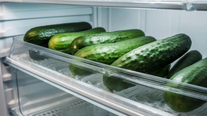 Uzun sre saklamak istediiniz salatalklarn herhangi bir darbe ve fiziksel hasar almadnda emin olun.