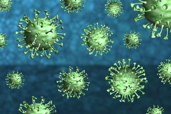 M E TEST NE ZAMAN YAPTIRILMALI?<p>    M iei olduklarn dnen veya M iei olan biriyle yakn temasl olan kiiler, bir salk kuruluuna danmal ve kiiye test yaplp yaplmamasna doktor tarafndan karar verilmeli.