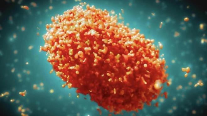 Cumhurbakanl letiim Bakanl, M iei (mpox) hastalna ilikin merak edilen baz sorular ve cevaplarn paylat.<br>    Bakanln sosyal medya hesabndan yaplan bilgilendirmede, "M iei testi ne zaman yaptrlmal?", "M iei belirtileri nelerdir?", "M iei belirtileri olan kii ne yapmal?", "M iei nasl tedavi edilir?" gibi merak edilen sorulara yant verildi.<p>    Hastala ilikin paylalan sorular ve yantlar yle: