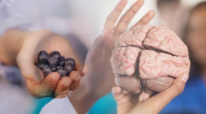 Vcut salna beslenme biimin etkisi tartmasz kritik bir neme sahip. Uzmanlar, tketilen besinlerin beyin salna etki ettiini hatrlatyor.