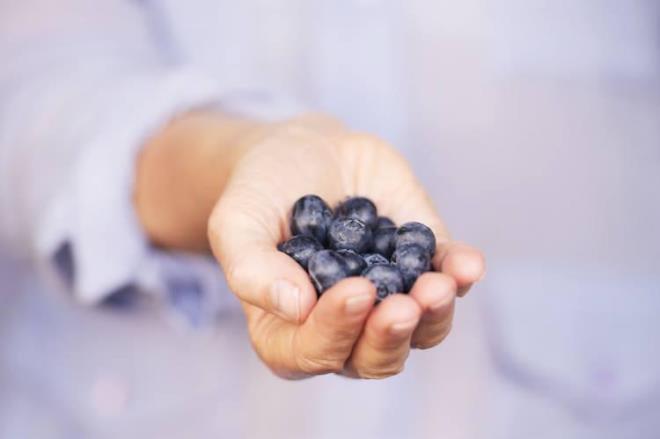 1- YABAN MERSN         Antioksidan zelliiyle bilinen ve yksek polifenol ieren yaban mersini, beyin salna olumlu etkiye sahip. Ayn zamanda hafzay glendirme ve renme yeteneklerini iyiletirme potansiyeli tayan bu besin Alzheimer hastalnn ilerlemesini yavalatabilecek zellikte.