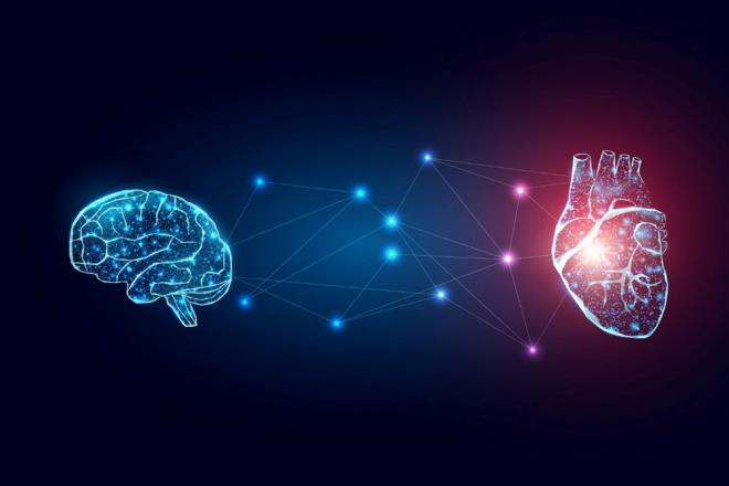 Rinne'nin liderliindeki ekip, geen yl 27 farkl sevgi trnn vcutta hangi blgelerde hissedildiini belirlemiti. Yaplan aratrmada rnein tutkulu bir ak ve yaama sevgisinin btn bedene yayld kaydedilmiti.    Ancak Rinne ve ekip arkadalar yeni almada btn vcut yerine sadece beyne odakland.