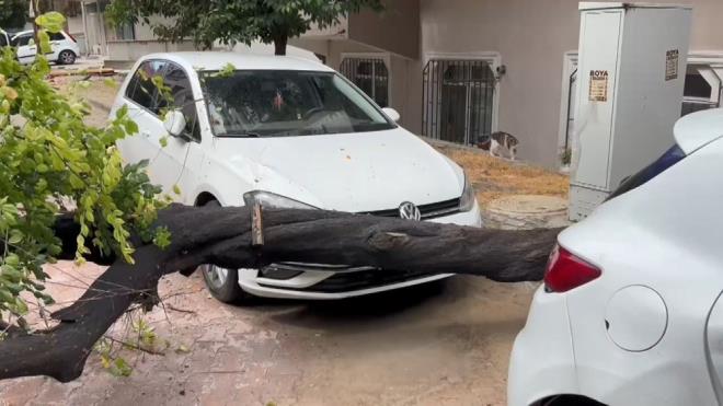 AA OTOMOBLN ZERNE DEVRLD    Avclar'da etkili olan saanak ya srasnda aa, park halindeki otomobilin zerine devrildi. Aa ekiplerinin almalarn ardndan yoldan kaldrld.