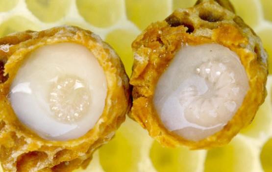 Arnn stnn ksrlktan tutun da kansere kadar olan bilimsel olarak faydalarn sralamadan nce bu st nasl elde ediliyor onun bilgisini verelim.