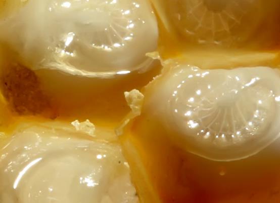 Ar stnn retilmesi de ok zahmetlidir. Ar stn bir haftalk gen ii arlar retir. Bu arlar ne yeni ergin olmu acemi arlar ne de kovan dna karak ypranm arlardr. Gen ii arlar yaamlarnn en verimli zamanlarnda, yani bir haftalkken hem kendileri hem de insanlk iin mucizevi faydalar olan ar stn retirler.