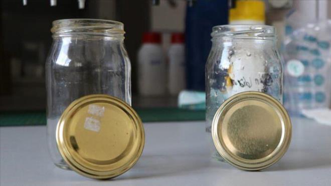 Prof. Dr. engl, kn tketilmek zere yurt genelinde yaygn yaplan konserve hazrlklarnn balad bugnlerde, gda zehirlenmelerine kar dikkat edilmesi gerekenleri tek tek anlatt.