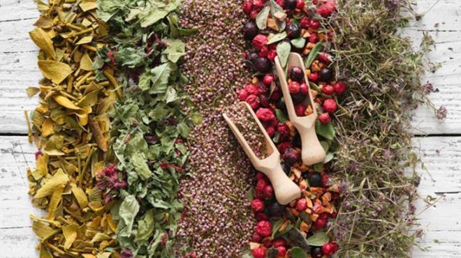 kse otunun sinir yattrc zellikleri solunum sistemini sakinletirir ve broniyal tplerdeki tahrii giderir. Gsteki skmay giderir, inat ksr ve iltihapl boaz arlarn yattrr.