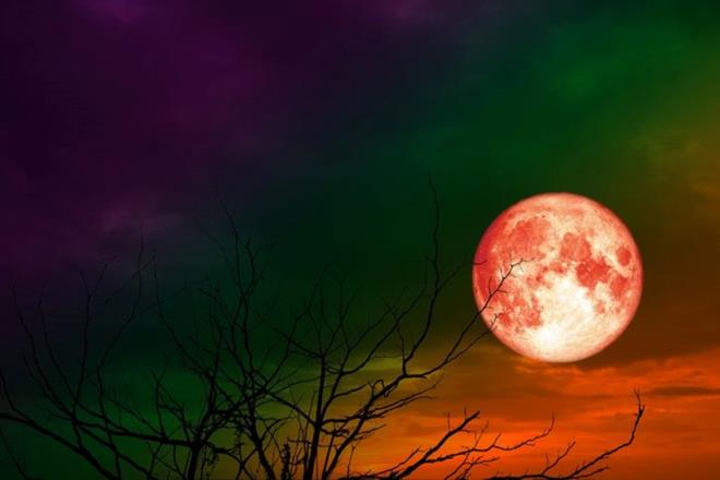 SPER KANLI AY TUTULMASI NE ZAMAN, SAAT KATA?    Gk olaylarn takip etmeyi seven birok kii, Sper Kanl Ay tutulmas iin tarih aratrmalarna balad.    Sper Kanl Ay tutulmas, 17-18 Eyll 2024 gecesi Dnya, Gne ile Dolunay arasndan geecek ve glgesi Ay'n yzeyine decek.    Buna gre; Sper Kanl Ay tutulmas 18 Eyll saat 05.15'te balayp saat 06.16'da sona erecek. Dolunay ise 16 Eyll tarihinde gerekleecek.