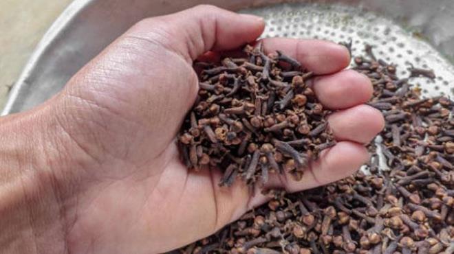 Karanfil  <p>  Karanfil, suya eklendiinde gl bir aroma verir. Hazrladnz su karmlarn hafta ierisinde deitirerek tketebilirsiniz. Mideye iyi geldii bilinen karanfil, zellikle k aylarnda lk suya atlarak tketilebilir. Birka karanfil tanesini suya ekleyip bir sre bekletmeniz yeterlidir.