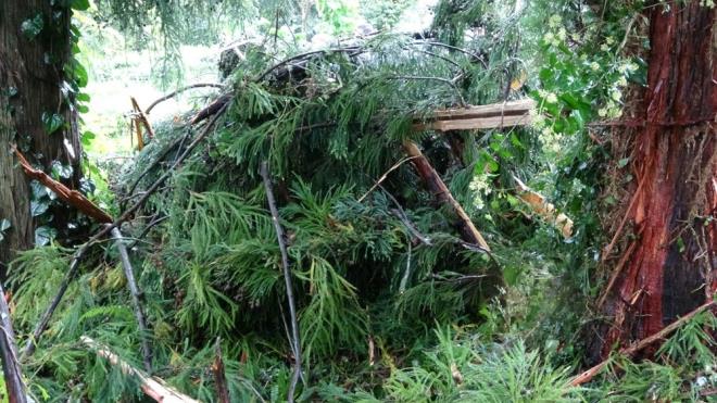 Merkeze bal Pazarky ky Kartaltepe Mahallesi'nde bugn saat 07.00 sralarnda mezarla yldrm dt.    Den yldrm sonucu am aac ykld, mezarlk duvar hasar grd.
