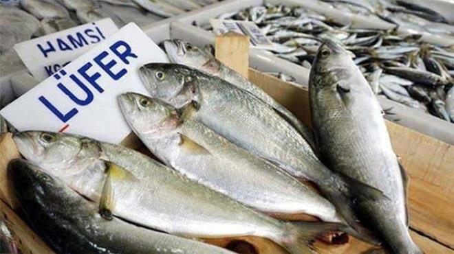 Lfer ve Palamut Ekim aynn kral olarak nitelendiriliyor.