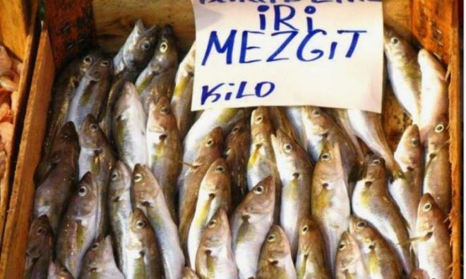 Mezgit:  <br>  K aynda tazelii artan mezgit bal, yemek iin hafif ve salkl bir tercih oluyor.