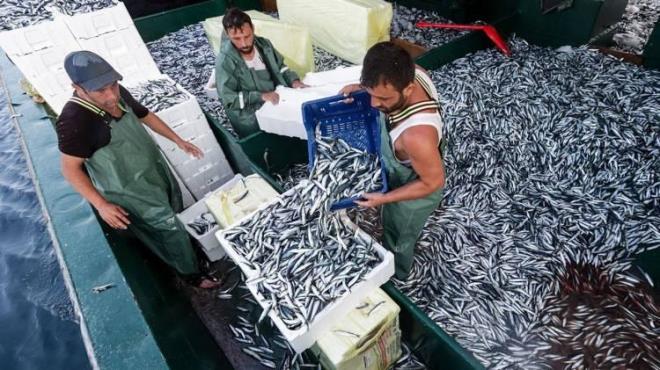 Tketiciler ise balklardan, bu mevsim dnglerine ve aya dikkat ederek, taze ve yerel balk sunmalar bekler.