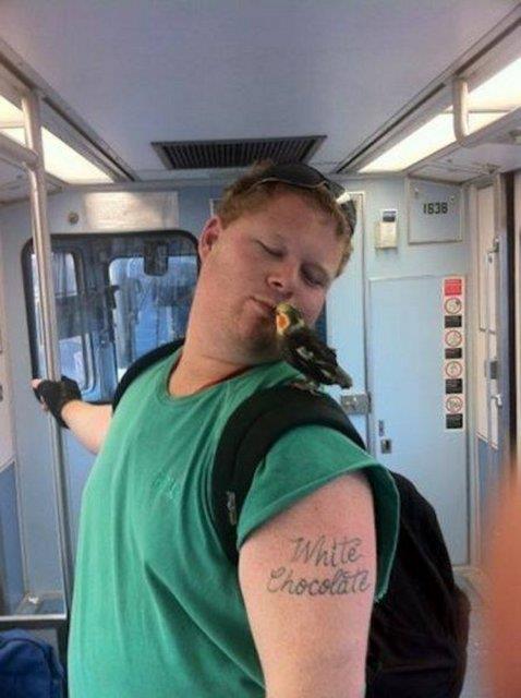 Metroda �a��rtan g�r�nt�