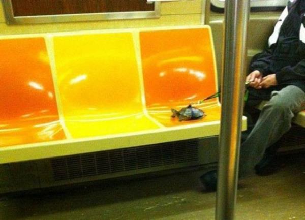 Metroda �a��rtan g�r�nt�