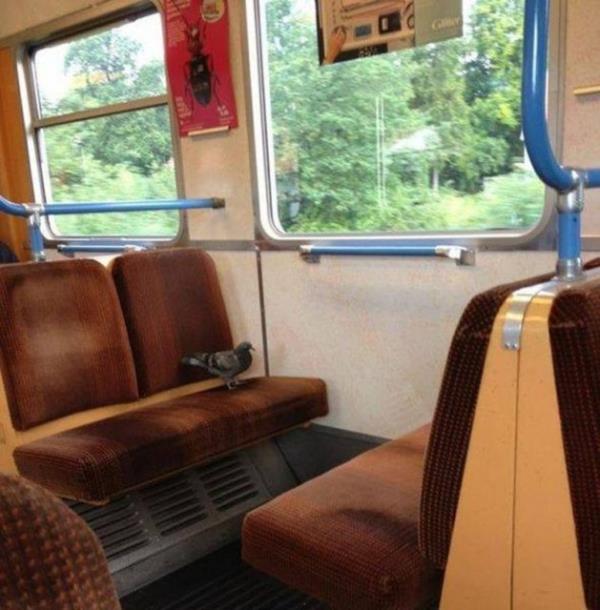 Metroda �a��rtan g�r�nt�