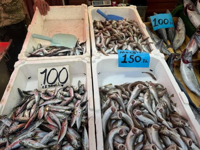 Zonguldak'ta tezgahlardaki fiyat art sryor. Mezgit palamudu geride brakarak tezgahlarn en pahal bal oldu. Mezgidin tezgahlarda kilosu 150 liradan satld.