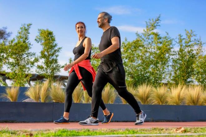 Srekli oturmak kas ve kemik salnza zarar verebilir, kronik arlara yol aabilir, kilo almanza ve obeziteye bal hastalklara yakalanma riskinizi artrabilir. Kapal bir ortamda 10.000 adm atma hedefi belirlemek, fitness hedeflerinize ulamak iin bir balang noktas olabilir. te dar kmadan 10 bin adm tamamlamann yolu