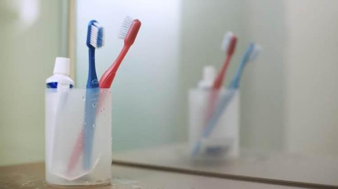 Her evde bulunan ve ska kullanlan di fras ve du balklar zerinde 614 farkl virs eidi tespit edildi.