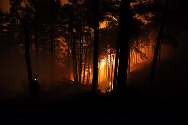 OGM: K LEDE ALIMALAR SRYOR    Orman Genel Mdrl (OGM) de,  Dalaman ve Mentee ilelerindeki orman yangnlarn kontrol altna alma almalarnn devam ettiini duyurdu.
