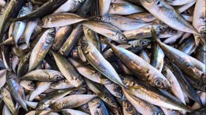 Balk satn alarken bayat olup olmadn anlamak iin evde kendiniz birka yntem uygulayarak anlayabilirsiniz.