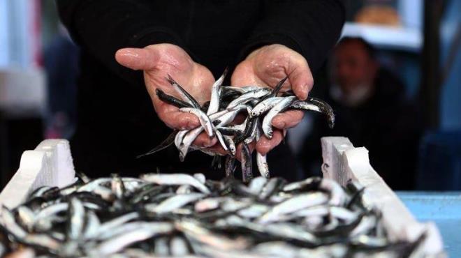 Eer balk su yzeyinde kalrsa aldnz balklar bayatttr. Asla tketmeyin.