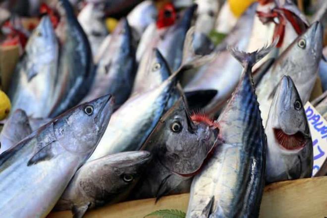 Peki bayat balk nasl anlalr, Yntemleri neler?