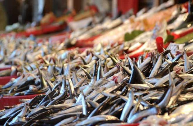 Bayat balk tketirken gda zehirlenmelerine kar dikkatli olunmas gerektiini belirten uzmanlar tedavi edilmedii takdirde ise lmlere neden olabileceinin altn iziyor.