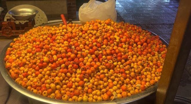 Tp Fakltesi Genel Cerrahi Ana Bilim Dal Blm Bakan Prof. Dr. Namk zkan, al ve vez meyvelerinin iyi inenmeden ekirdekleriyle yenmesi durumunda mide ve barsaklarda kitlelere neden olduunu syledi.