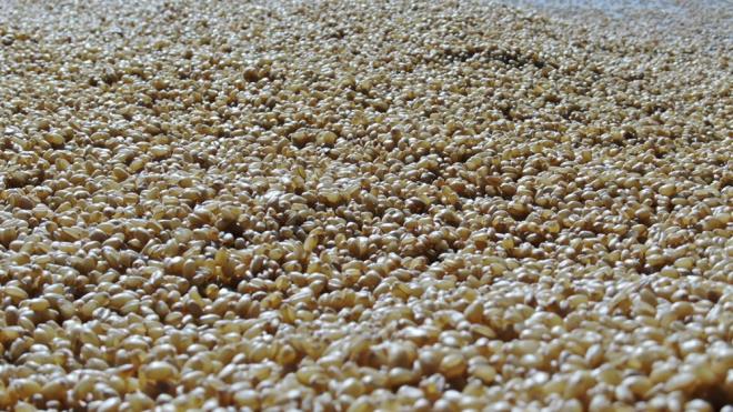 Tonajlarn kafi gelmemesi durumunda ayn zamanda bizim ierideki kurutma frnlarmzda retim devam etmekte. Fakat kn sadece hava artlarndan dolay ieride kurutma ilemi yapyoruz. Kurutma ileminden sonra da ykama ve ayklanma gibi ilemleri devam ediyor? diye konutu.