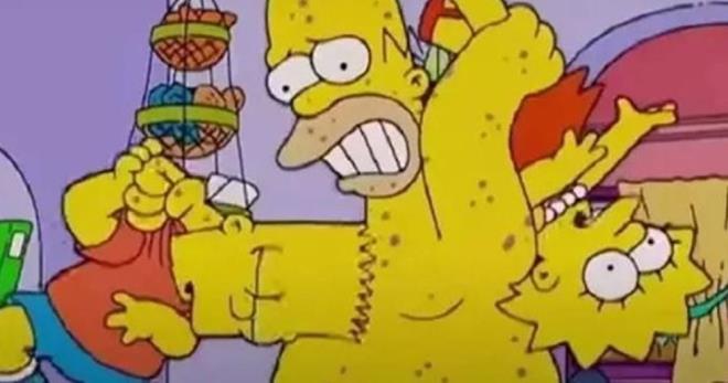 Simpsons'n 7. sezon 3. blmnde Bart ve Milhouse'un bir maymunla oynadktan sonra hastaland grlyor. Bir baka blmde ise bir maymun sahiplenen Homer hastalanyor. Bu detay ile dizinin maymun iei virsn de bildii konuuldu.