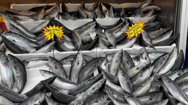 LEVREK    Levrek, dk kalorili ve yksek proteinli bir balktr. Cilt sal iin nemli olan kolajen retimini destekleyen inko minerali asndan zengindir. Ayrca B vitaminleri ve potasyum ierir.