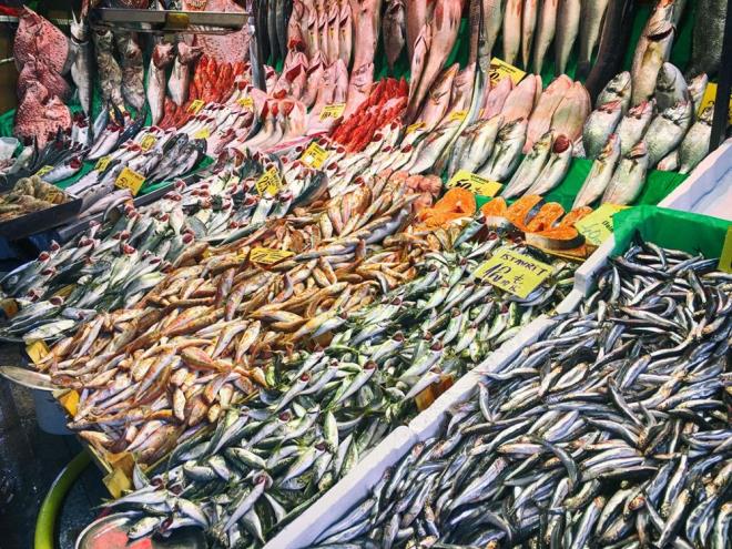 Balk tketimi vcut saln korur. Kemikleri glendirir. Kalp saln destekler. Hafzay daha gl hale getirir ve depresyon riskini azaltr. Uzmanlar haftada en az iki porsiyon balk tketmenin nemli olduunu vurguluyor.