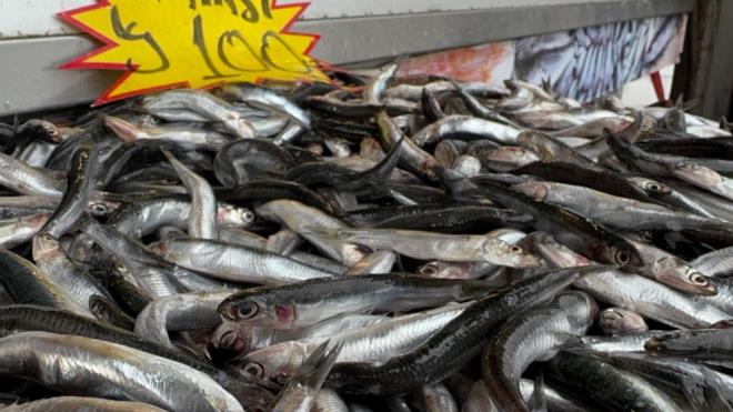 Mevsiminde haftada iki kez balk tketmek Omega-3 ve D vitamini ihtiyacn karlyor.