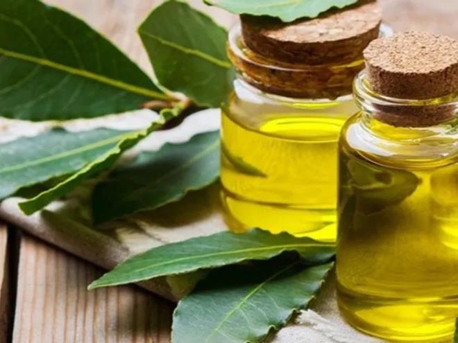 Kostus Ya: Salarn kuvvetlenmesi iin kostus (costus) yan kullanmay nermitir. Bu ya, sa tellerini glendirir, krlmalar azaltr ve san daha salkl grnmesini salar. Kostus ya modern sa bakm rnlerinde, zellikle glendirici ampuanlarda yer alr.