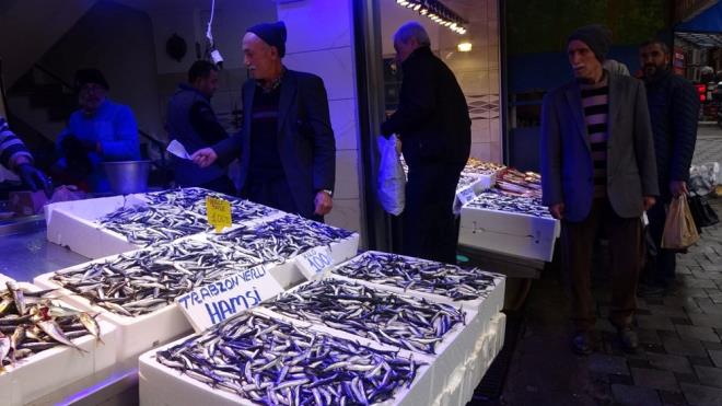 Tezgahlarda istavrit 100-150 lira, sargan 250-300 liradan satlyor. Sarkanadn fiyat 350-400 lira, mezgit ise 100-400 lira aralnda deiiyor.
