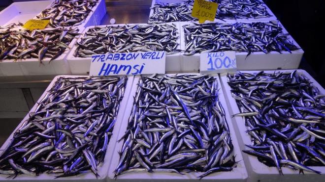 Geen haftalarda kilosu 200 liradan satlan hamsi, bugn bol av vermesiyle fiyat yarya kadar gerileyerek 100 liraya kadar indi.