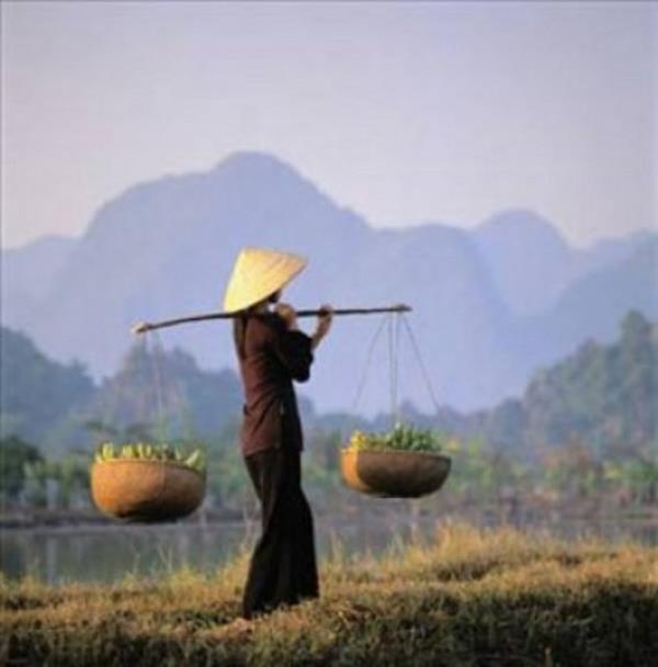 300 ton arlk kaldryor.