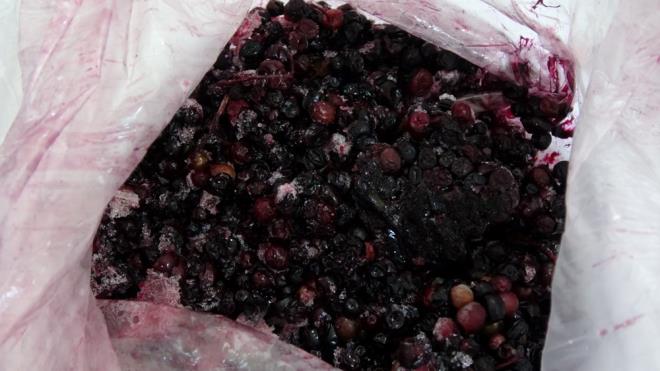 Salk Bakanl?nn istatistiklerine gre lkede en sk grlen ilk be kanser tr (akcier, meme, prostat, kolon ve tiroid kanserleri) arasnda yer alan ve birka yl ncesine kadar 50 ya sonrasnda grlen kolon kanseri, artk daha gen insanlarda da ortaya kmaya balad.