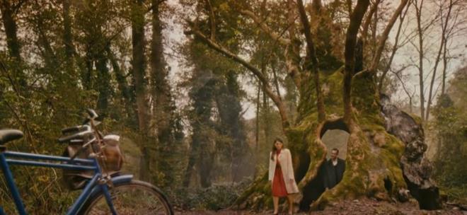 ekimleri devam eden Sen Alama stanbul'un konusu ise yle;<p>    stanbul?da geen ve imknsz bir ak konu alan dizide; tp fakltesinde okuyan gl ve umut dolu gen bir kadn olan ehrazat, sevgilisi Ferhat?la mutlu bir gelecek hayali kurarken, Ferhat?n susuz yere idama mahkm edilmesi tm hayatlarn altst eder.<br>    ehrazat, sevdii adam daraacndan kurtarmak iin karanlk nfuzuyla tannan Bykbey?den aresizce yardm ister. Ancak, bilmedii bir gerek vardr: Bykbey?in yapt hibir iyilik karlksz kalmaz. Bykbey?in kz irin ve yeeni Kubat?n mutsuz evlilii, imparatorluunu korumak iin kurduu planla birleince herkesin hayat kknden deiecek ve hibir ey eskisi gibi olmayacaktr.