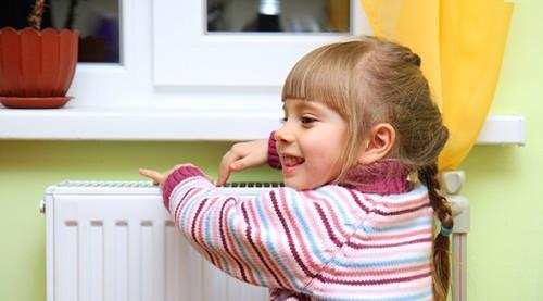 Bunlar koyarsanz evin iindeki kt kokuyu yok edebilirsiniz.