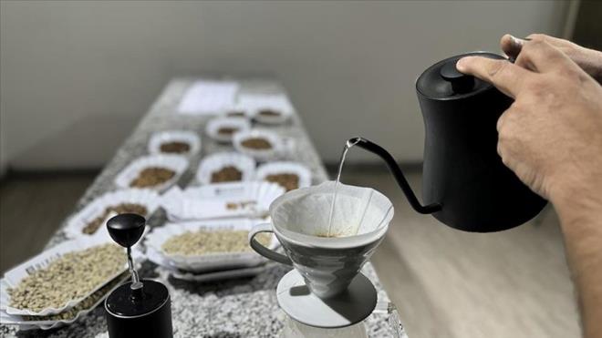 Kahvenin salk yararlarn destekleyen artan kantlara ramen, hala cevaplanmam birok soru var. rnein, kahve tketiminin yallar zerindeki uzun vadeli etkilerinin daha fazla aratrlmas gerekiyor. Ayrca, farkl kahve bileiklerinin dier ieceklerle (ay gibi) nasl etkileime girdiini anlamak, bu yararlar daha iyi tahmin etmeye yardmc olabilir.