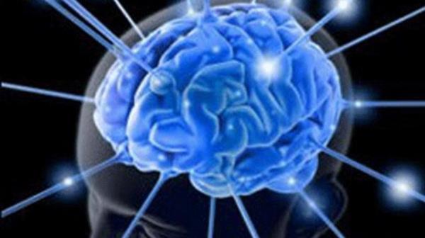 Pennsylvania niversitesi Beyin Hasar ve Tedavi Merkezi'nden sinirbilimci Douglas Smith, gelecekte bir "slak balant" sayesinde mhendislikten geen sinirlerin bilgisayardaki gibi organik materyallere balanabileceini belirti.