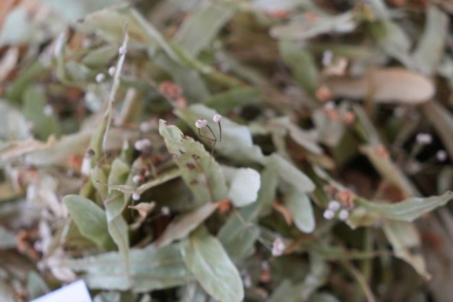 Ihlamur fiyatlar eidine gre bin 500 TL ile 2 bin 500 TL arasnda deiiyor. Vatandalar en ok 50 gram ya da 100 gram satn alyor. 50 gramdan 5 porsiyon, 100 gramdan 10 porsiyon hlamur kyor. nsanlar fiyatlardan ikayeti ama btelerine gre az miktarda alyorlar? dedi.