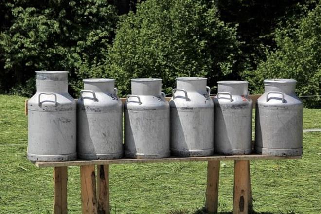 Kmz; B1, B2, B12 gibi B vitaminleri ile kalsiyum, fosfor, potasyum ve magnezyum gibi mineraller asndan zengindir. Bu besinler, kemik saln destekler, sinir sistemini glendirir ve hcre yenilenmesine yardmc olur.    Tarihsel olarak, kmzn bronit ve astm gibi solunum yolu hastalklarnda faydal olduu dnlmtr. Solunum yollarn rahatlatc etkisi olduu ve bakl glendirdii iin bu tr rahatszlklarn tedavisinde kullanlmtr.