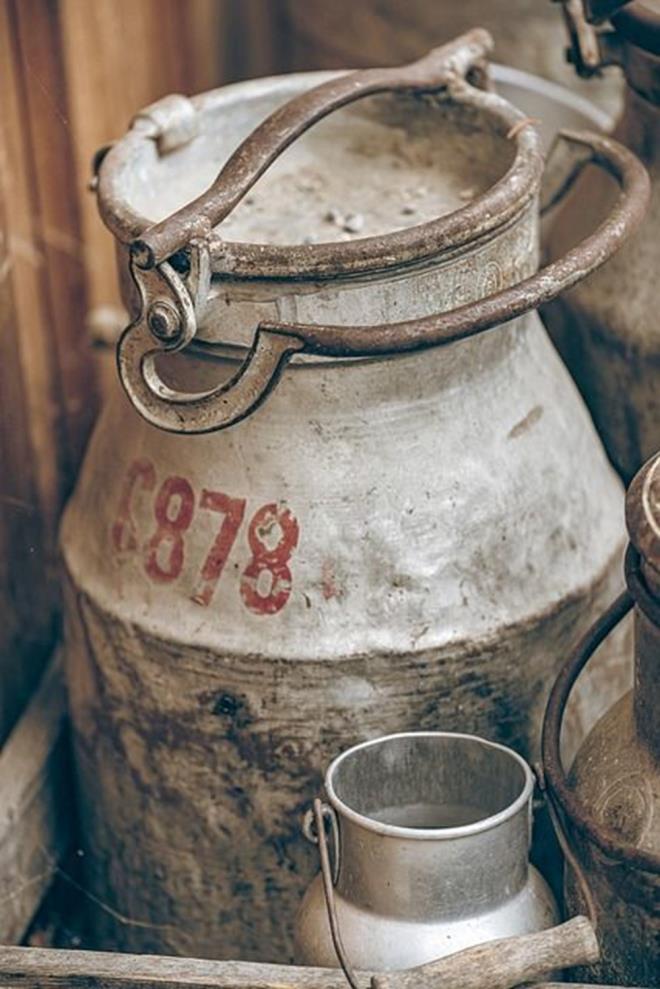 KIMIZ FAYDALARI    Kmz, fermente ksrak stnden yaplan bir iecek olup, hem besleyici hem de salk asndan faydal zellikleriyle bilinir. te kmzn ne kan faydalar:    Kmz, fermente bir iecek olduu iin doal probiyotikler ierir. Bu probiyotikler, barsak florasn dzenleyerek sindirim sistemi saln destekler ve sindirim problemlerini (rnein kabzlk ve ikinlik) azaltabilir.