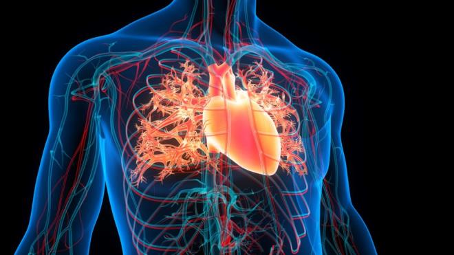 Yzdeki kzarklk, kalp yetmezlii iin nemli bir risk faktr olan yksek tansiyonun da belirtisi olabilir. Yksek tansiyon, kan damarlarnn genilemesine ve yzde krmz bir renge yol aar. Bu durum, kalbe ekstra yk bindirerek zamanla kalp yetmezliine neden olabilir.    Dr. Grant, ?Bu semptomlardan herhangi birini yayorsanz, hemen bir uzmana grnmeniz gerekir'' dedi.